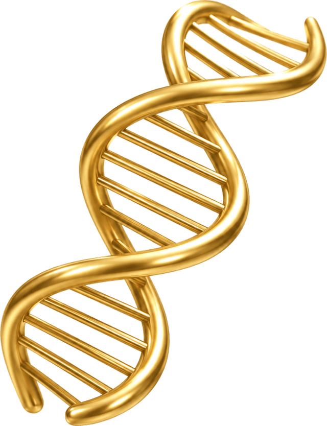 DNA-Helix
